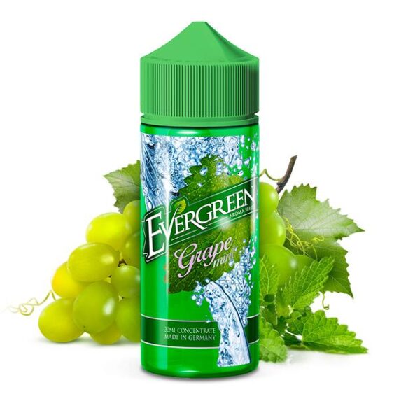 Evergreen Grape Mint