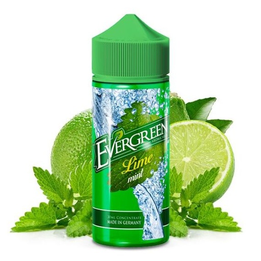 [P0020683] Evergreen Lime Mint