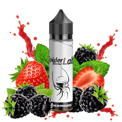 [P0021439] Spider Lab - Name in Progress 10/60