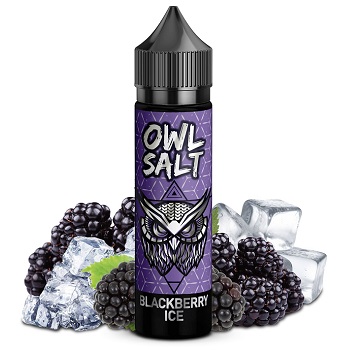 [P0023898] OWL Salt Blackberry ICE 10/60