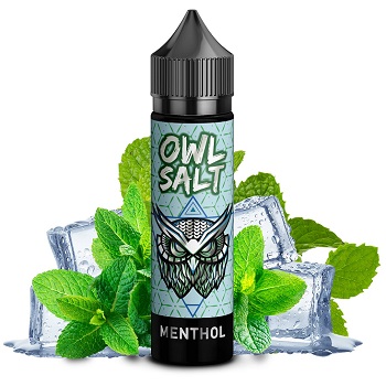 [P0023902] OWL Salt Arctic Breeze (Menthol) – 10ml Aroma (Longfill)